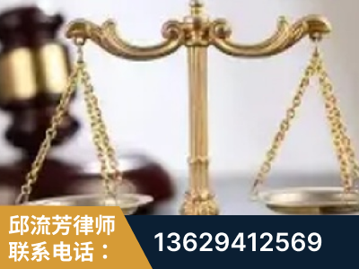 儋州-委托诉讼代理人出庭